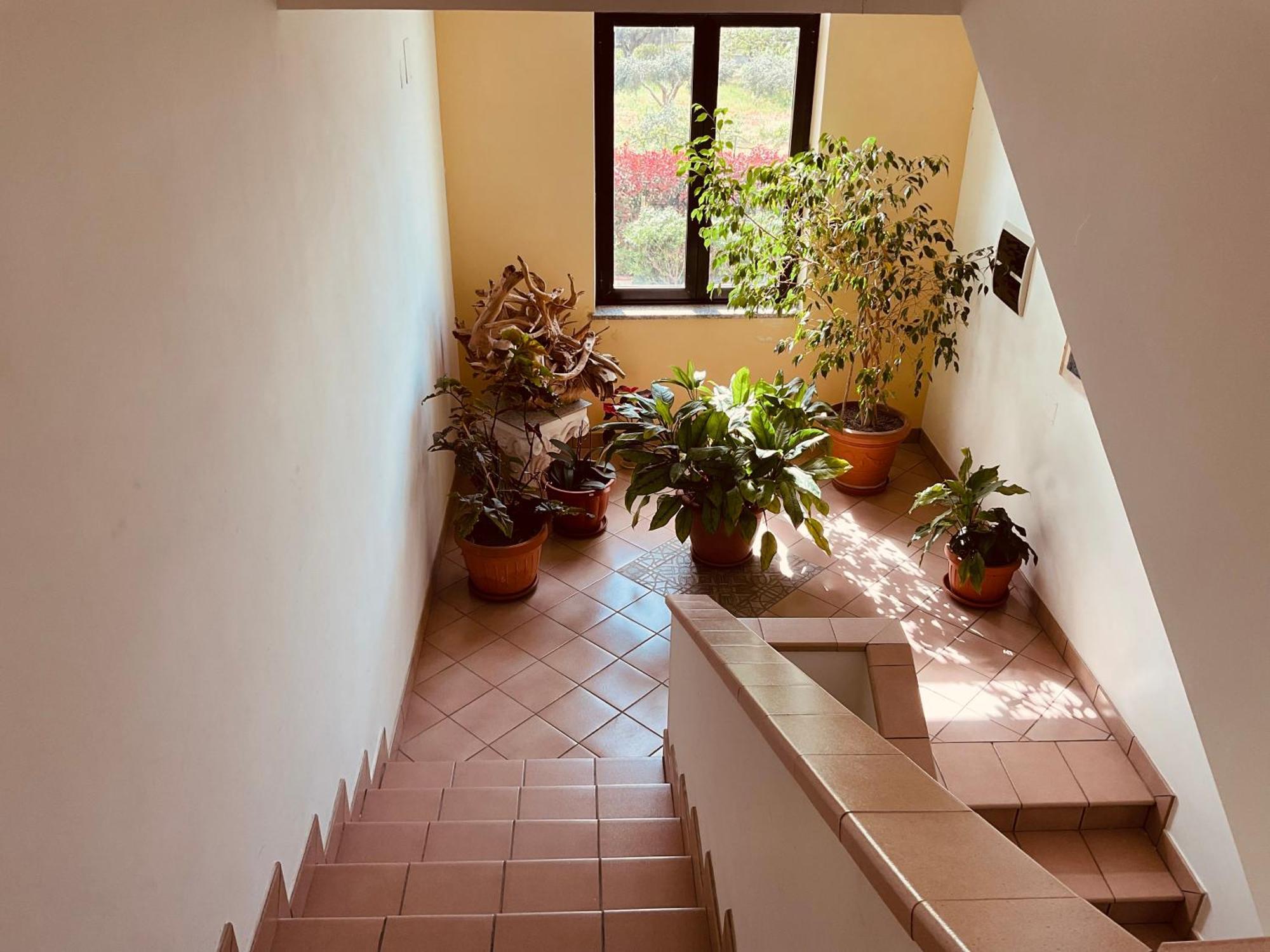 Casa Vacanza Demetra Fuscaldo المظهر الخارجي الصورة